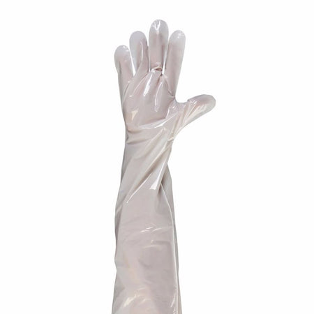 Disposable Plastic/Poly Gloves